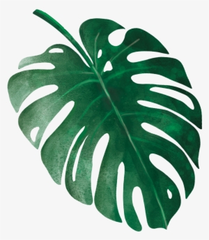 Tropical Leaves 9