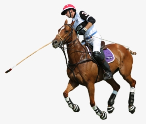 1 - Polo Sport Png