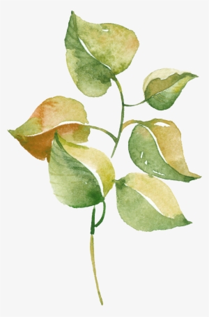 Watercolour Watercolor Pinterest - Trademark Art 'happy' By Color Bakery Textual Art On
