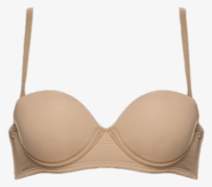 Download - Just Bra