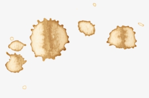 Coffee Stain18 Copy - Coffee