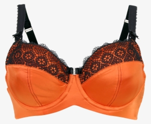 Ginger Macaroon Nursing Bra - Wired Bras