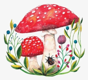 ○••°‿✿⁀shrooms‿✿⁀°••○ - Drawing The Red Mushroom