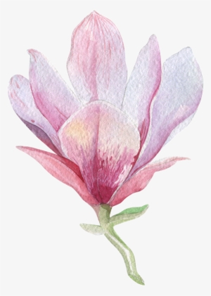 Flower Left - Orquideas Acuarela Png