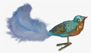 Forest Finch Ornament - Old World Christmas Forest Finch Glass Blown Ornament