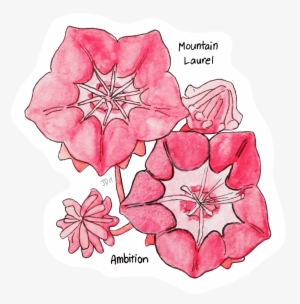 My Art Me Emotions Victorian Flower Language Flowers - Clematis
