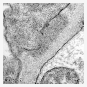 Graphic Royalty Free Atlas Q Image Ajkd Blog - Audi Q5