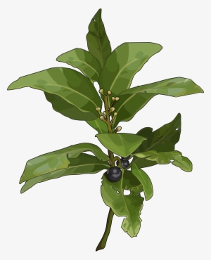 Archivo - Laurel - Rowan Leaf