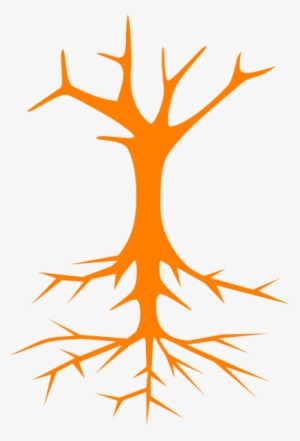 Root Clip Art - Parts Of A Tree Poster