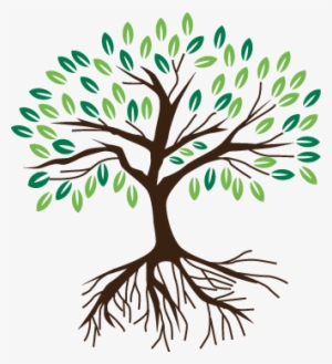 Attachment Is About Connection, And It's At The Heart - Transparent Tree With Roots Graphic