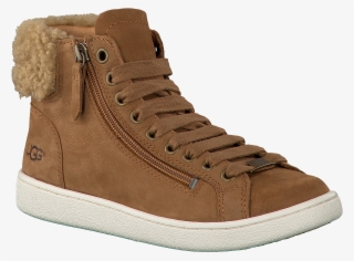 Uggs Sneakers Olive - Boot