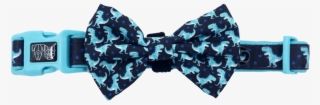 Dino-mite Dinosaur Comfort Dog Collar And Bowtie - Paisley