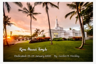 The Beloved Prophet Groden B - Attalea Speciosa