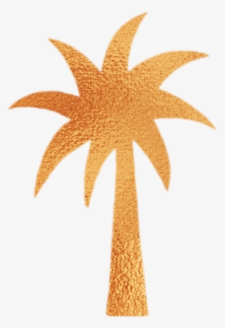 Palmtree - Illustration