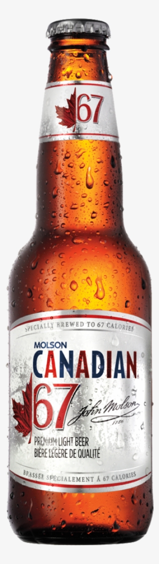 Molson Canadian Beer Bottle