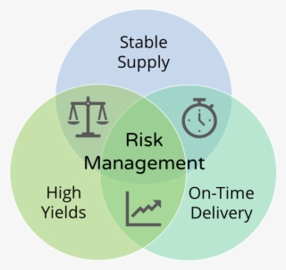Risk Management - Circle