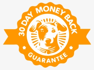 30 Days Money Back Guarantee - 100 Money Back Guarantee