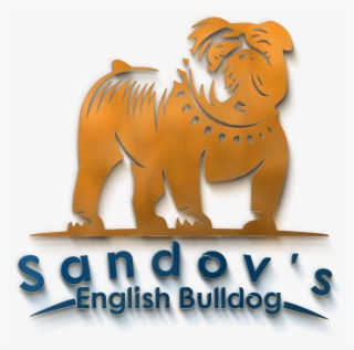 Sandov's English Bulldog - Masai Lion