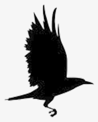 992 X 1026 9 - Raven New Hope Logo