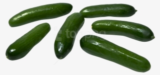 Free Png Cucumber Png Images Transparent - Cucumber