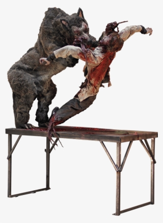 Super Sized Wolf - Wolf On Table