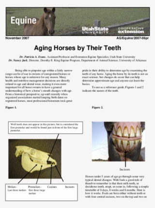 Pdf - Utah State University