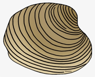 Shell Clipart Phillip Martin