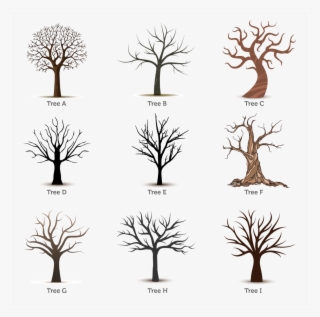 Personalised Family Fingerprint Tree - Tree