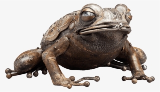 Sculpture - Bufo