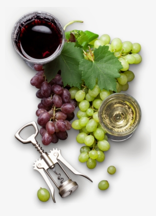 All Customers Who Select The Gormet Box Lunch Option - Seedless Fruit