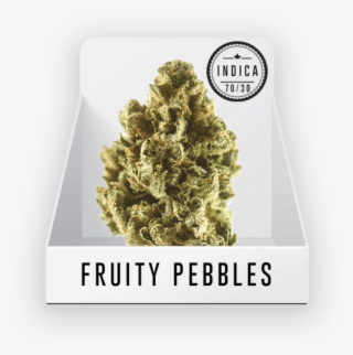 Medicine Man Denver - Mexican Pinyon