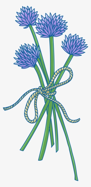 Pétalos Cuerda Flores Verde Png Y Psd - Illustration