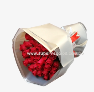 Aniversario - Garden Roses