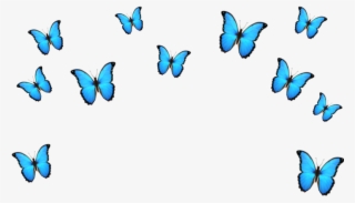 #butterfly #emoji #blue #crown #tumblr #cute - Papilio