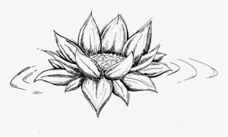 La Costa Quebrada Y En La Playa De La Arnía Continuamos - Чб Цветы Эскизы