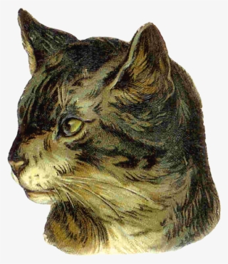This Is Most Typically How Cats In The Victorian Era - Vintage Cat Png