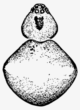 Open - Illustration