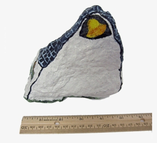 Church Back Ruler Small - Igneous Rock