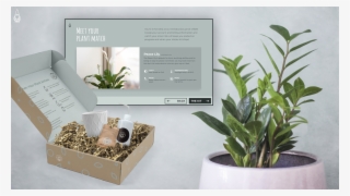 Introductory Price At Just $69 - Houseplant