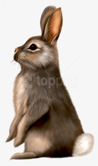 Free Png Painted Brown Bunny Png Images Transparent - Brown Bunny Clipart