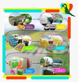 Proceso - Graphic Design