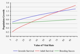 The Effects Of Changing Vital Rates On Population Growth - Diagram