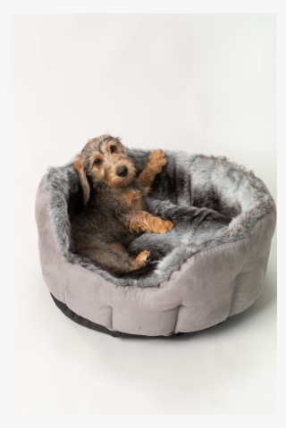 Silver Arctic Fox Faux Fur Luxury Dog Bed By House - Cocker Spaniel