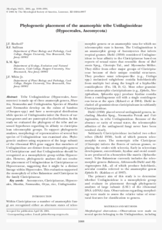 Pdf - Folio Eighteen From Burchard Of Sion's De Locis Ac