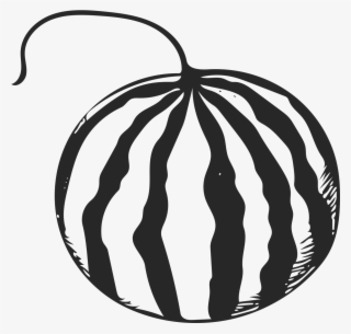 Fruit Cartoon Watermelon Transprent Png Free - 西瓜 線 稿