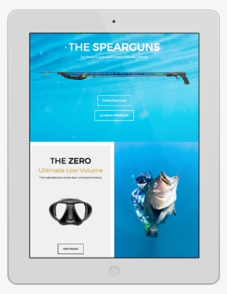Visit Website - Fish