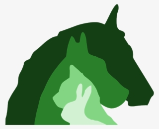 Clinique Trinaire De L'olivier Villeneuve Berg - Illustration