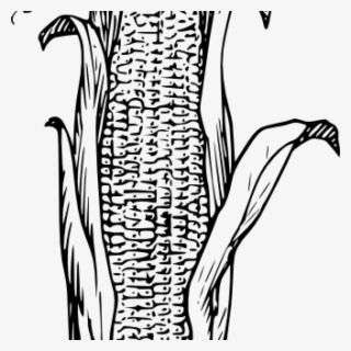 Corn Clipart Black And White Corn Clipart Black And - Corn Clip Art Png Black And White