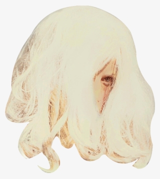 Download - Golden Retriever