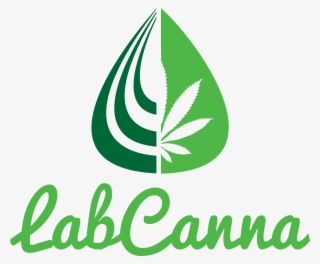 Coupons & Discounts - Graphic Design